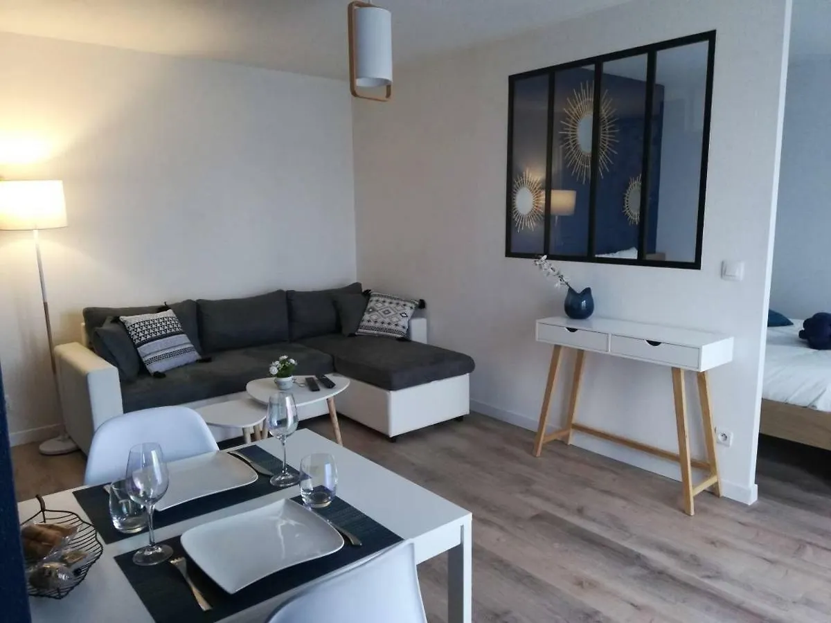 Appartement Cosy Proche Meteo France Et Airbus Toulouse France