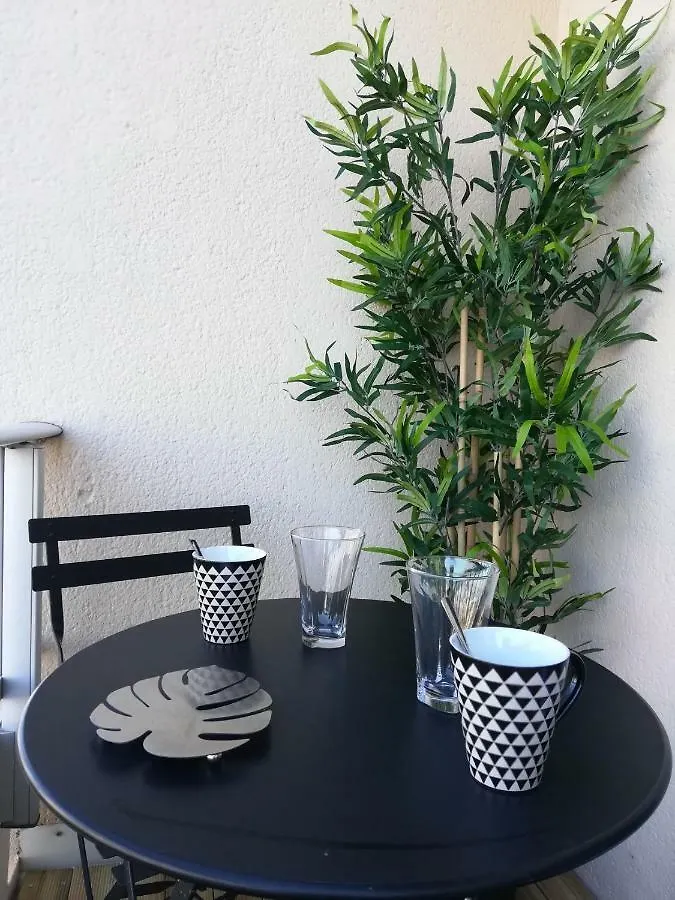 Appartement Cosy Proche Meteo France Et Airbus Toulouse 0*,  France